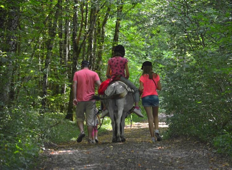 Villa Ferme Pédagogique  L'Bout d'Chemin à Genevreuille Extérieur photo